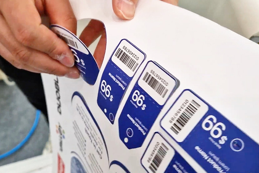 Full cut of carton by Valloy Duoblade FX